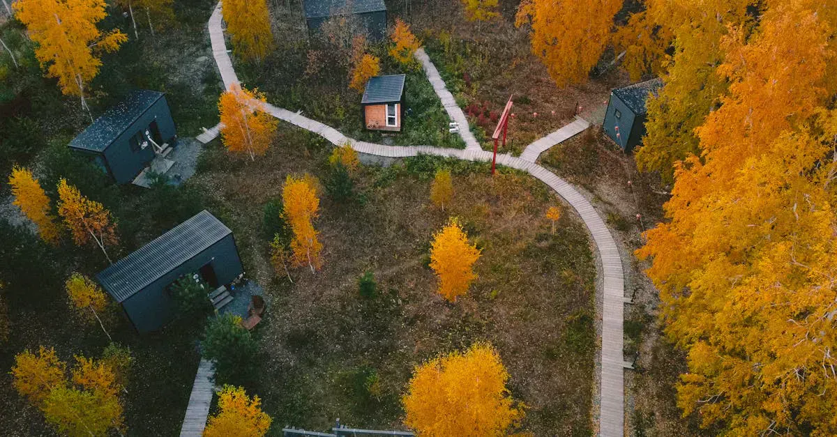 Off-grid cabins with rooftop solar panels surrounded by autumn forest