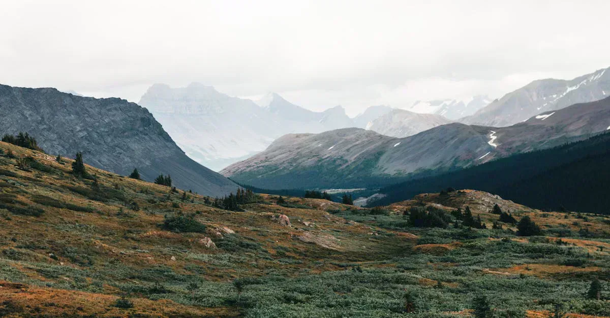 Off-grid cabins in the mountains