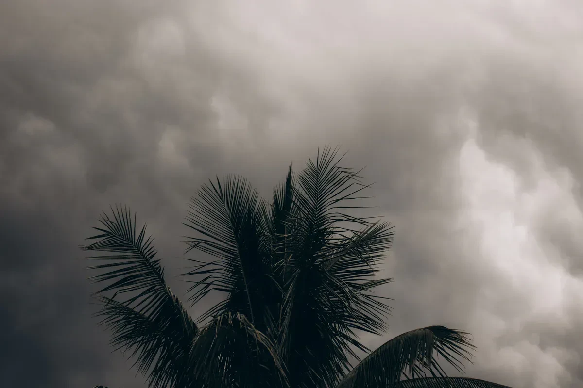 Dark hurricane storm clouds building over silhouetted palm trees