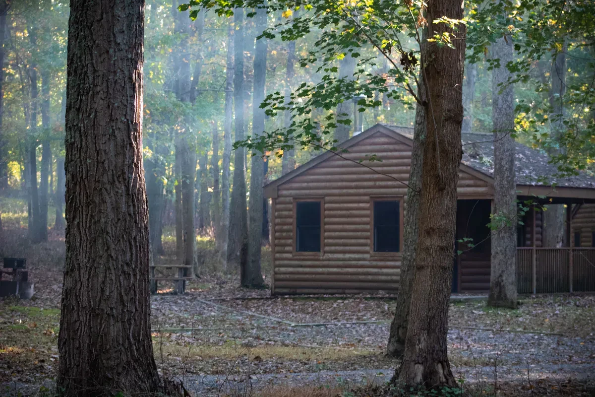 A small log cabin in a sunlit forest clearing, the kind of off-grid homestead where water-free sanitation has to work